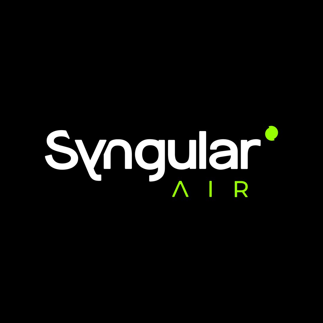 syngularair profile picture