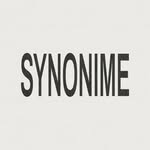 synonime_studio profile picture