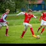 syve.r profile picture