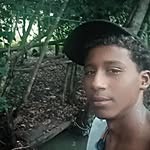 sz_wender profile picture