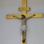 t.claudiojose profile picture