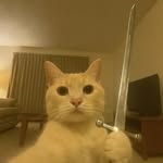 t0x1c4_evan profile picture