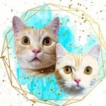 t2munchkins profile picture