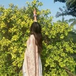 t4_thapa11 profile picture
