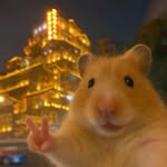 taaaacima profile picture