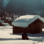 tabish.jutt_158 profile picture