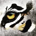 tadobaofficial profile picture