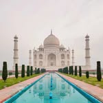 tajmahal.official profile picture