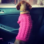 taksaumka profile picture
