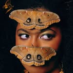 talalovesyou profile picture