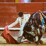 talavantediaz profile picture
