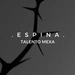 talentoespina profile picture