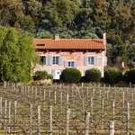 talitsestatevineyard profile picture