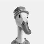 talkmediagroup profile picture