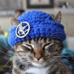 talk_to_the_paw profile picture