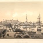 tallinn_kadriorg profile picture