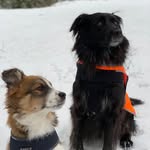 tallulahandremi profile picture