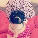 tallulah_bochi profile picture