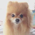 taluggy_mogu profile picture