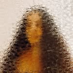 tamarabdul profile picture