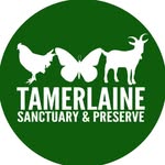 tamerlainesanctuary profile picture