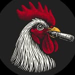 tampabaydeveloper profile picture
