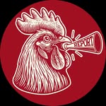 tampabayreport profile picture