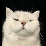 tan.bir__ profile picture