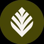 taniabulhoesperfumes profile picture