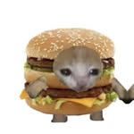 tanirlarmibroomm7 profile picture