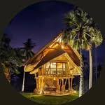 tanoma_sumba profile picture