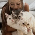 tantan.mia.daailo profile picture