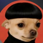 tapaswi_patnana profile picture