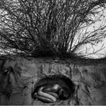 tarunchouhan_ph profile picture