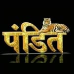 tarunkumarpandey36 profile picture
