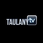 taulany_tv profile picture
