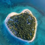 tavaruaislandresort profile picture