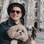 tavolarofelipe profile picture