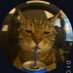tawrso profile picture