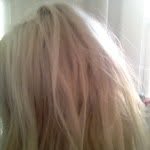 taylertreadwell profile picture
