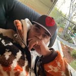 tbhits profile picture