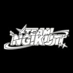 team.ngikut profile picture