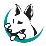 teamdctk9 profile picture
