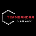 teamgandra profile picture