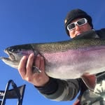 team_hippie_fish profile picture