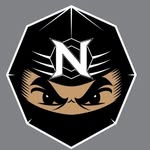 teamninjanguyen profile picture