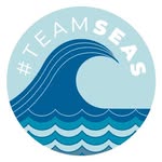 teamseas profile picture