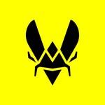 teamvitality profile picture