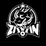 teamzayans profile picture