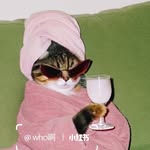 teatea_planet profile picture